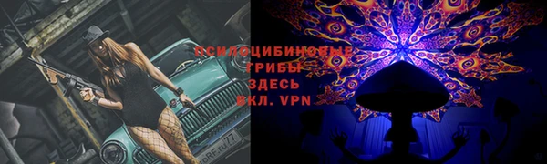 твердый Медногорск
