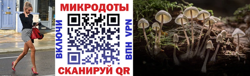 Галлюциногенные грибы Psilocybe  ссылка на мегу   Гагарин 