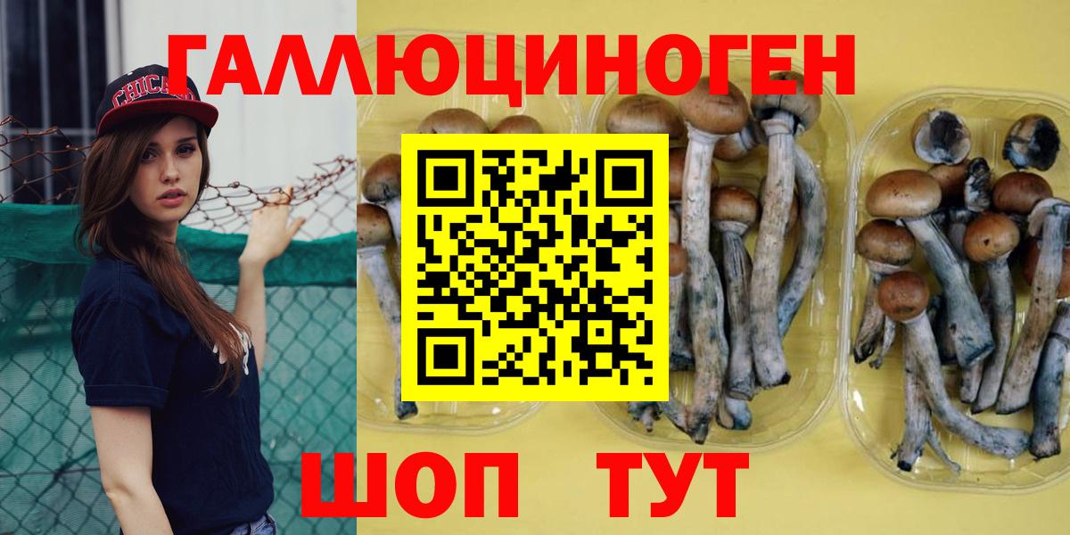 Псилоцибиновые грибы мухоморы  Вход с VPN  цены   Гагарин 